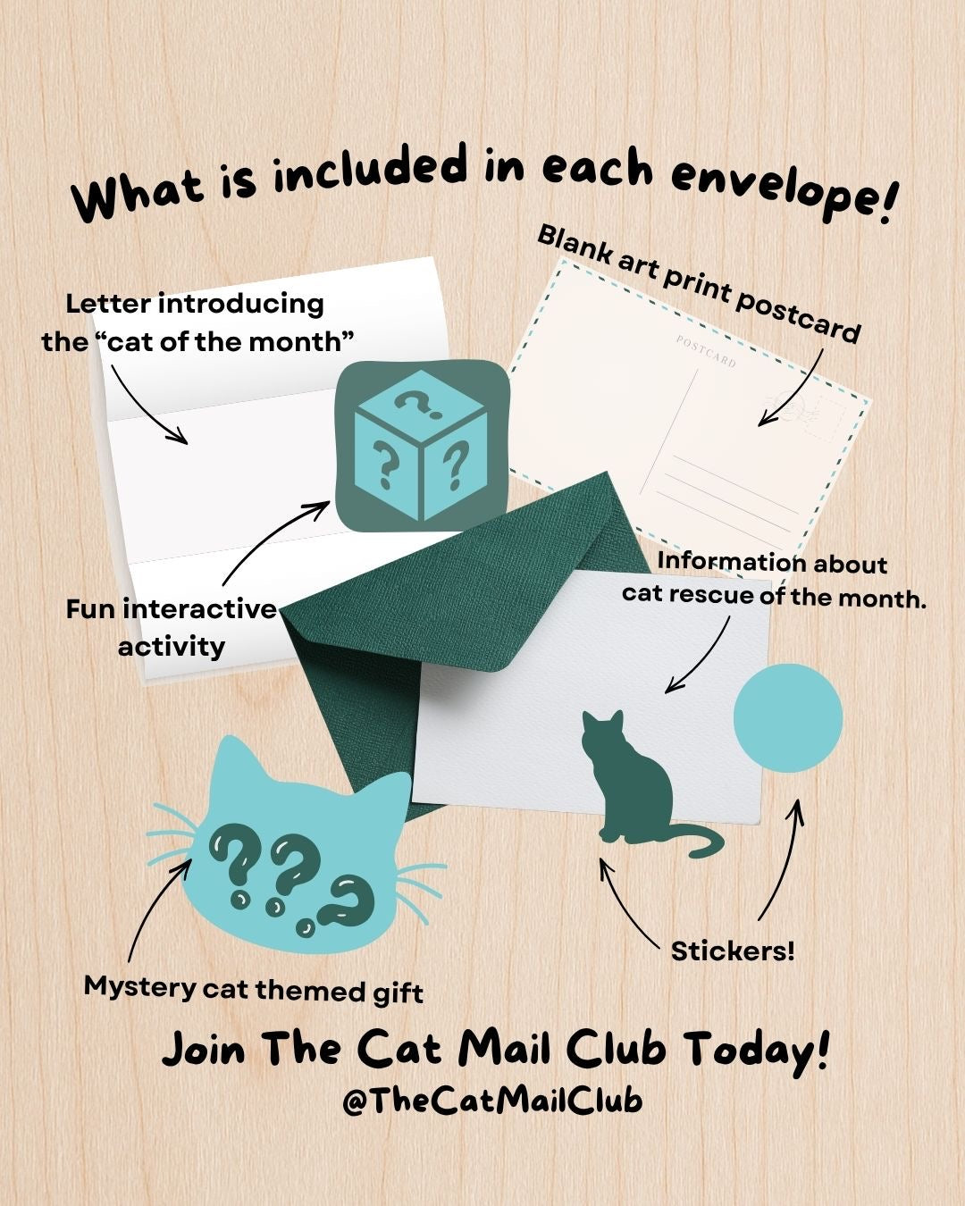 The Cat Mail Club Monthly Subscription!
